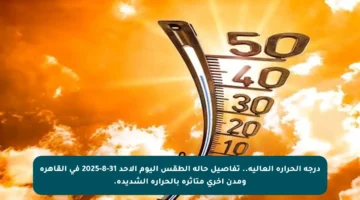 درجة الحرارة العالية.. تفاصيل حالة الطقس اليوم الأحد 31-8-2025 في القاهرة ومدن أخرى متأثرة بالحرارة الشديدة.